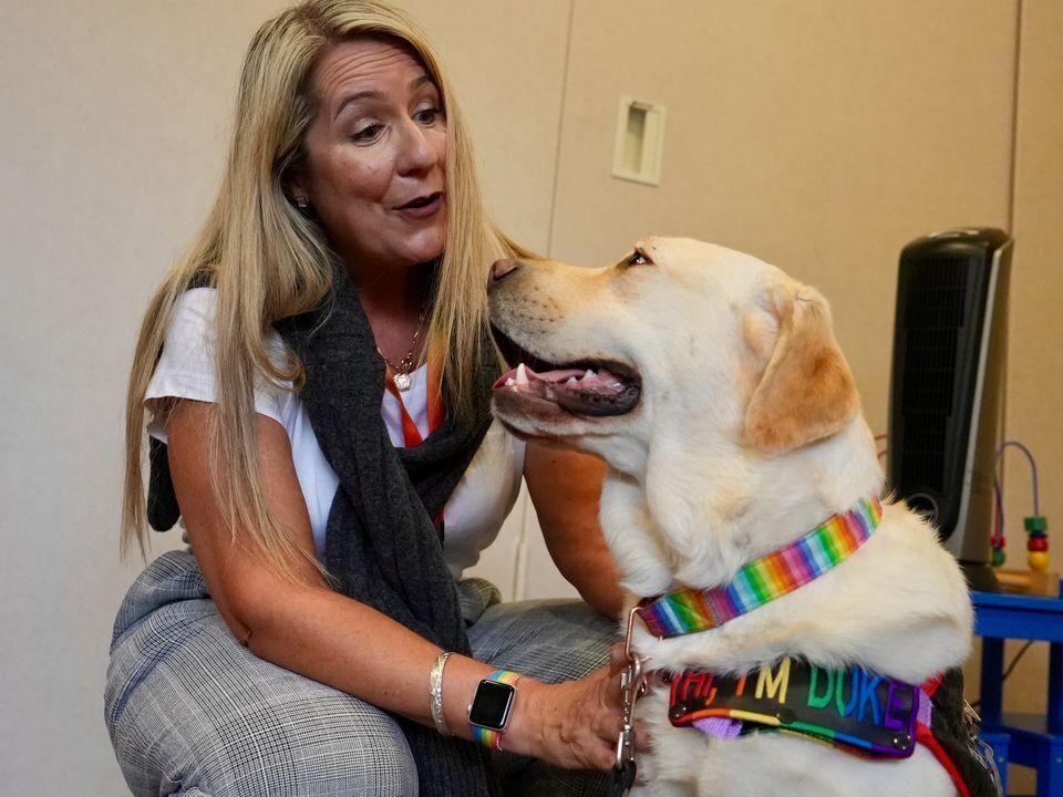 US-NEWS-WOULDBE-SHOW-DOG-FINDS-HIS-3-PO.jpg